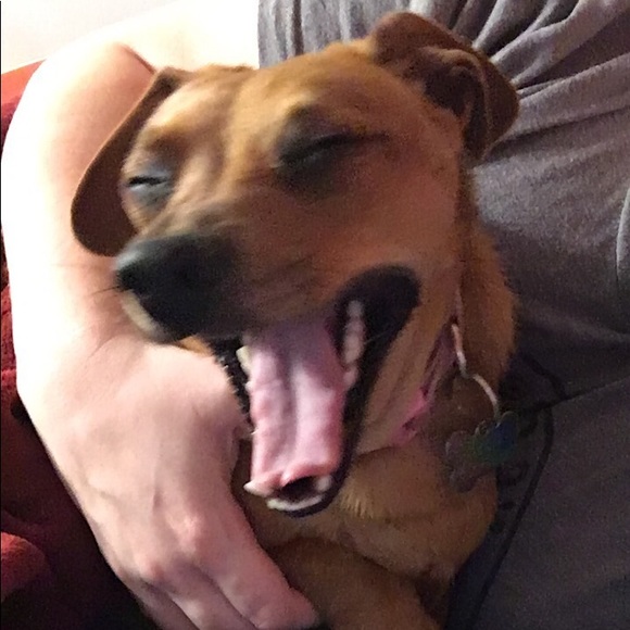 ~About me~โ๐จ๐ป๐ท๐๐ฑ๐๐ป๐๐ฎ๐๐ - Picture 4 of 4